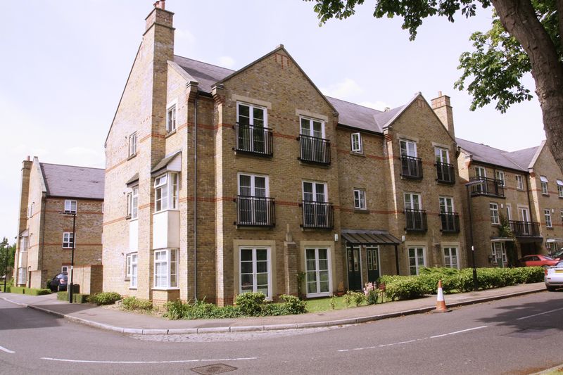 Main Image